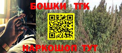 молекула духа Сланцы