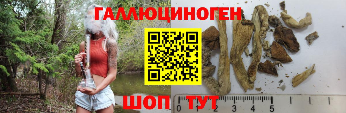 Прохладный  Псилоцибиновые грибы Psilocybe  Вход с VPN  Галлюциногенные грибы Cubensis 